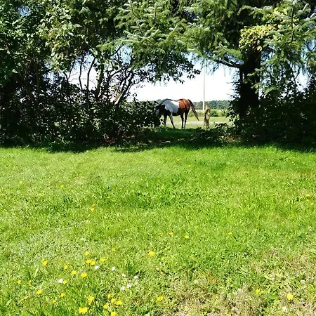 아파트 Fewo1 보른